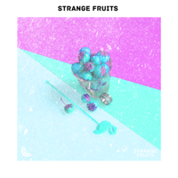 Various Artists - Musicas Eletronicas 2019 Lançamentos Por Strange Fruits artwork