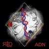 ADN