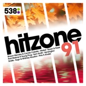 538 Hitzone 91 artwork