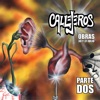 Callejeros
