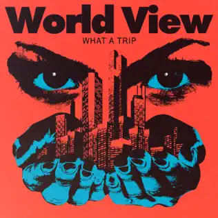 last ned album World View - What A Trip