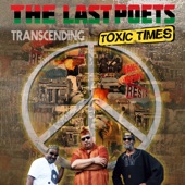 The Last Poets - If We Only Knew What We Could Do