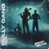 Bully Gang artwork