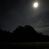 Moonlight (Single Version) [Single Version]
