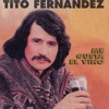 Me Gusta el Vino by Tito Fernández iTunes Track 2