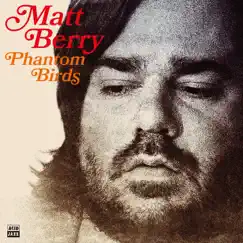 Phantom Birds by Matt Berry album reviews, ratings, credits