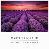 Fields of Lavender artwork