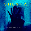 Shesha - De Mthuda & Njelic