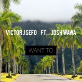 Want To (feat. Josh Wawa) artwork