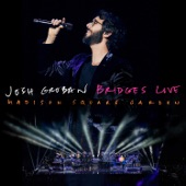 Bridges Live: Madison Square Garden artwork