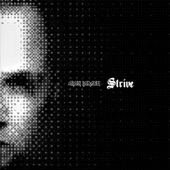 Strive (Breakbeat Mix) artwork