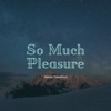 So Much Pleasure - Single, 2020