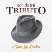 Tributo a Juan Luis Guerra - EP artwork