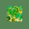 Green Cellar - Single