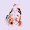 Caroline (feat. Quez) - July Quin lyrics