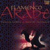 Flamenco Arabe artwork