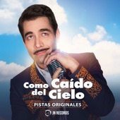 Como Caido Del Cielo (Pistas Originales) artwork