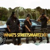 Whats Streetsmartz 101