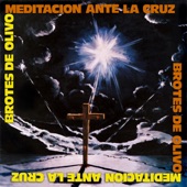 Meditación ante la cruz artwork