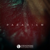 Steyoyoke Paradigm, Vol. 7 artwork