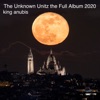 The Unknown Unitz the Full Album 2020