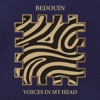 Voices In My Head - Single, 2023