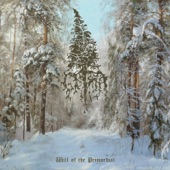 Will of the Primordial artwork