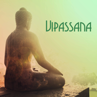 New Beginning Recs - Vipassana – 20 Songs to Listen to During Your Mindfulness of Breath Exercises artwork