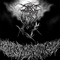 Alle Gegen Alle - Darkthrone lyrics
