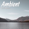 Ambient, 2020