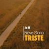 Breve Storia Triste - Single