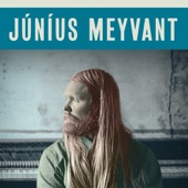 Júníus Meyvant - Cherries Underground