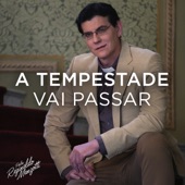 A Tempestade Vai Passar artwork