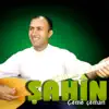 Sahin