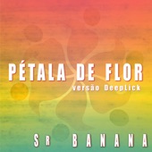 Pétala de Flor (Versão Deeplick) artwork