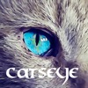 Catseye
