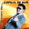 Ce Copilarie Grea - Sorin Copilul de Aur lyrics