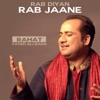Rab Diyan Rab Jaane - Single