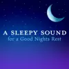A Sleepy Sound for a Good Nights Rest album lyrics, reviews, download