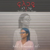 Seble Alemayehu, Vol. 1 artwork