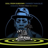 Soul from Dubdown - Darker Than Blue (feat. Ammoye) artwork