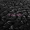 Raki - Palms lyrics