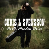 Chris L Svensson - North Meadow Drive artwork