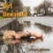Girl Unwanted - Kevin Schipke lyrics