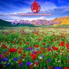 La Feria de Las Flores - Single