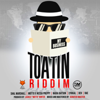 Various Artists - Toatin Riddim artwork