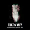 Stream & download That's Why (Vintage Culture & Dashdot 2k19) - Single