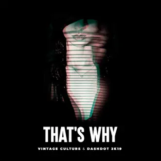 That's Why (Vintage Culture & Dashdot 2k19) - Single by Dashdot & Vintage Culture album reviews, ratings, credits