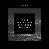 The Rhythm of Night artwork