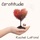 Rachel LaFond - Gratitude